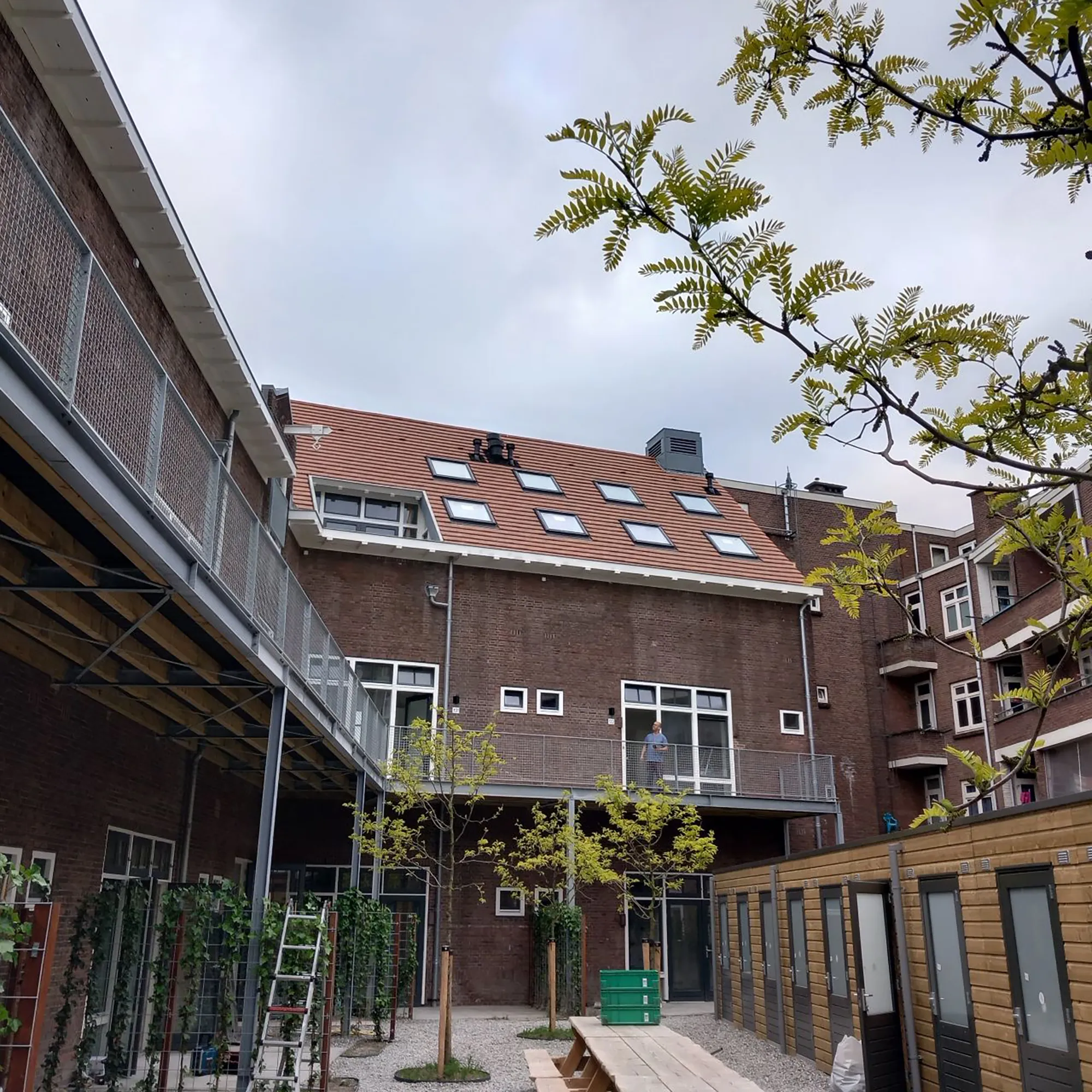 Transformatie Bloemhofschool 1